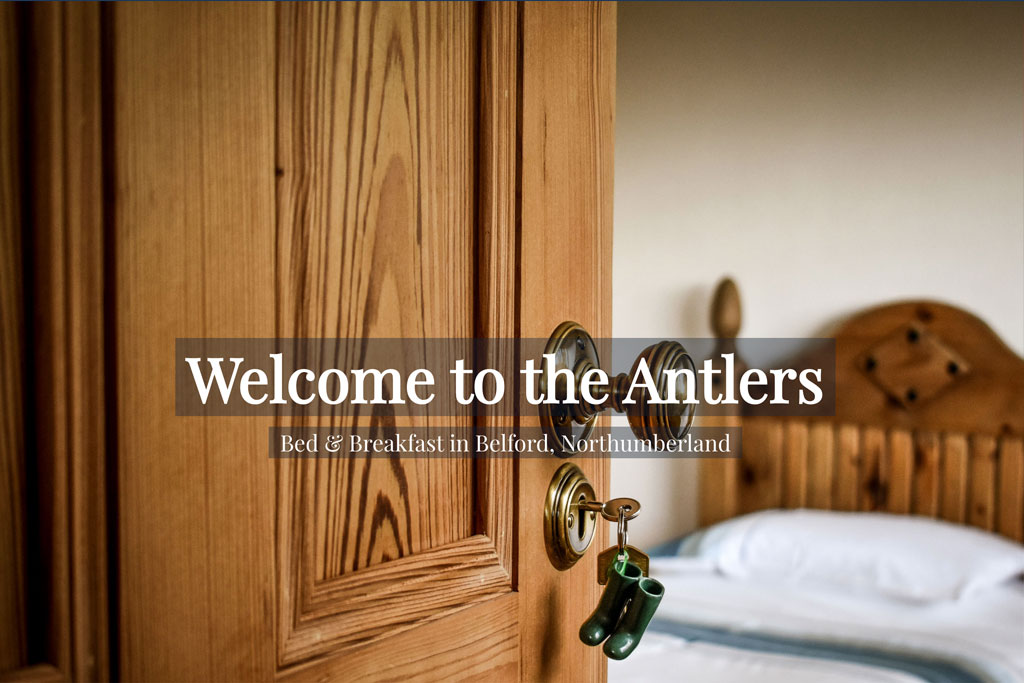 The Antlers Website by Crg1 Web Design