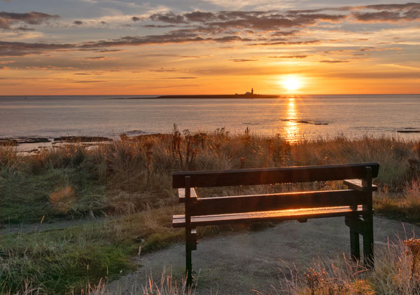 Amble Events Committee